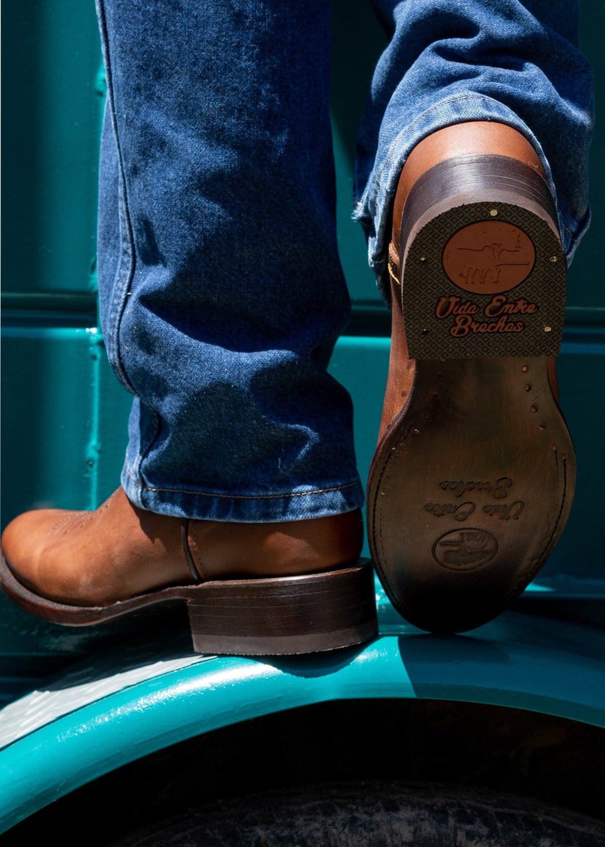 LUSITANO - MOSTO