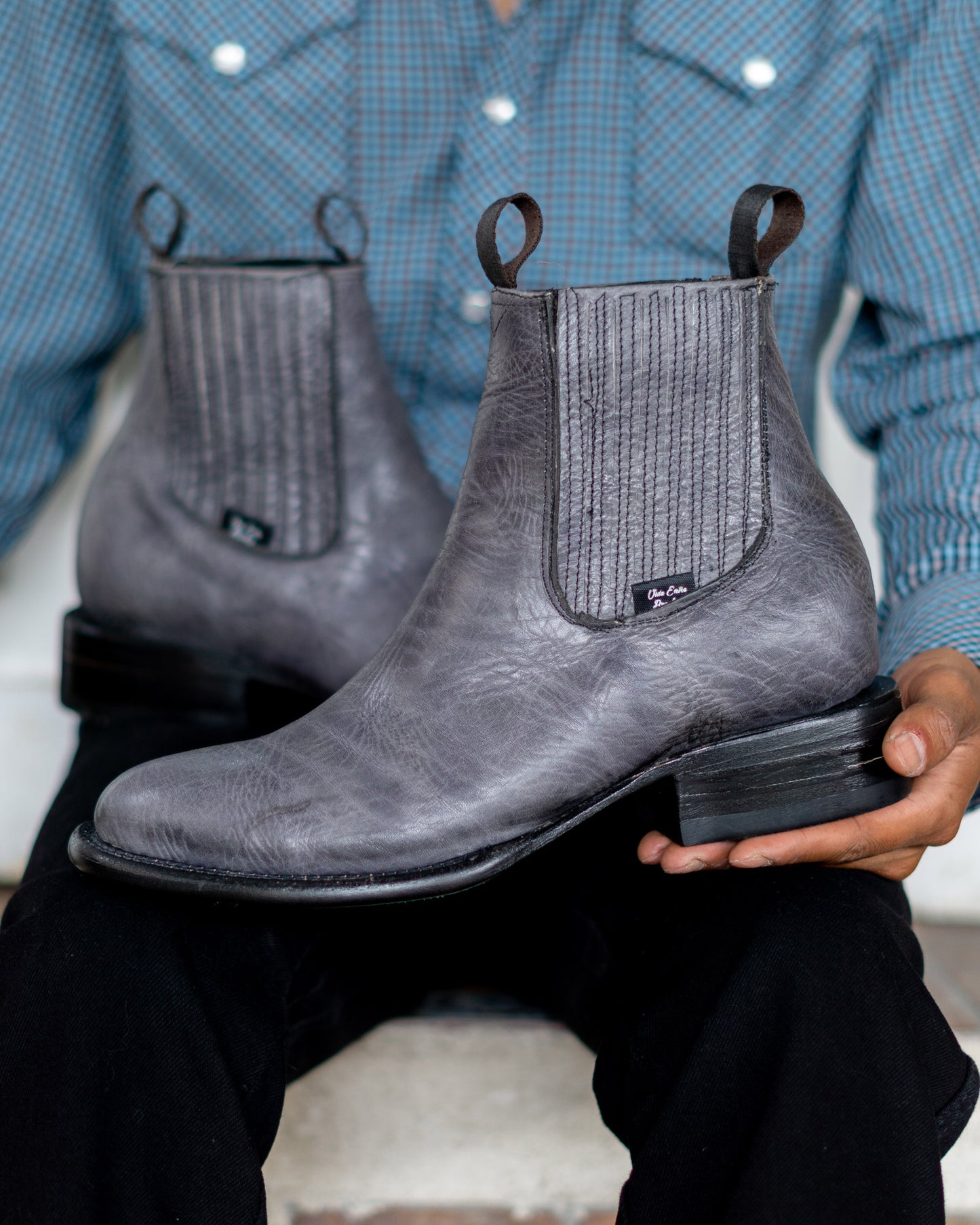 ANGUS - GRIS