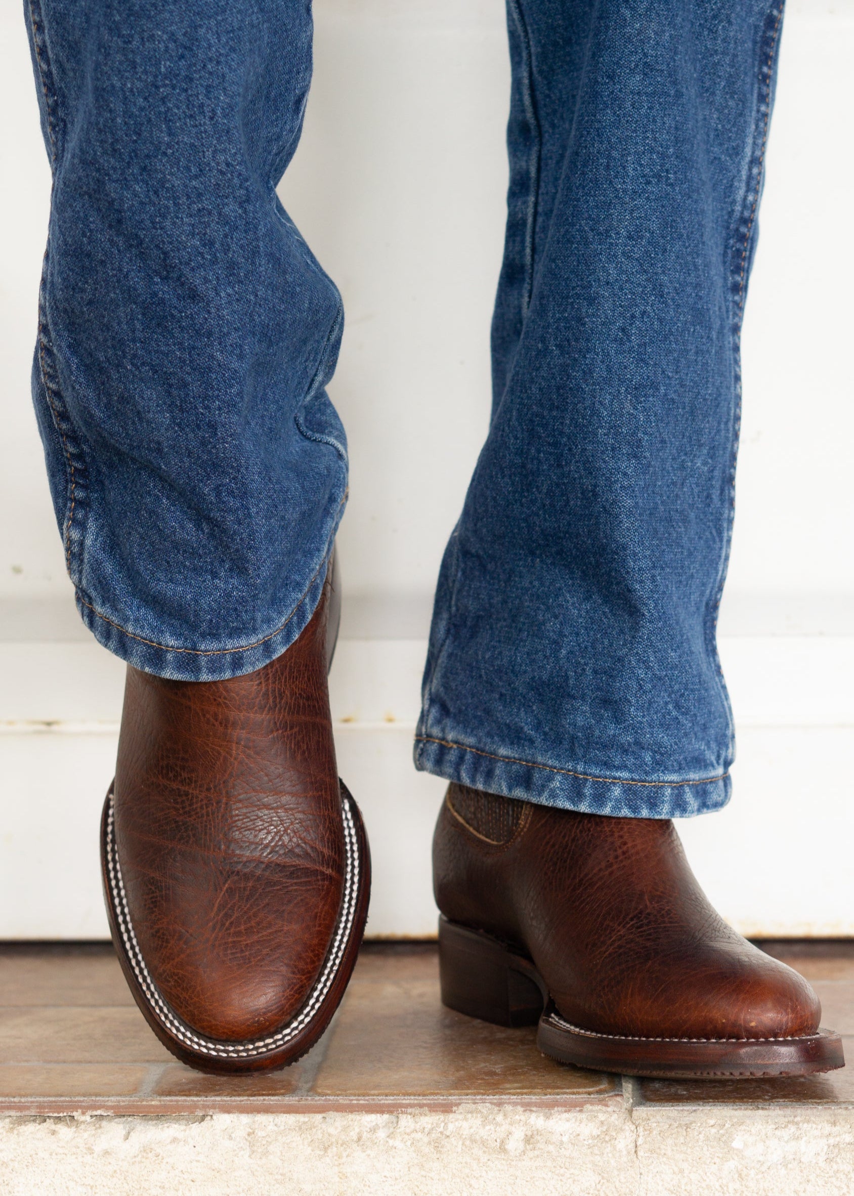 ANGUS - DOBLE VIDA - VINO