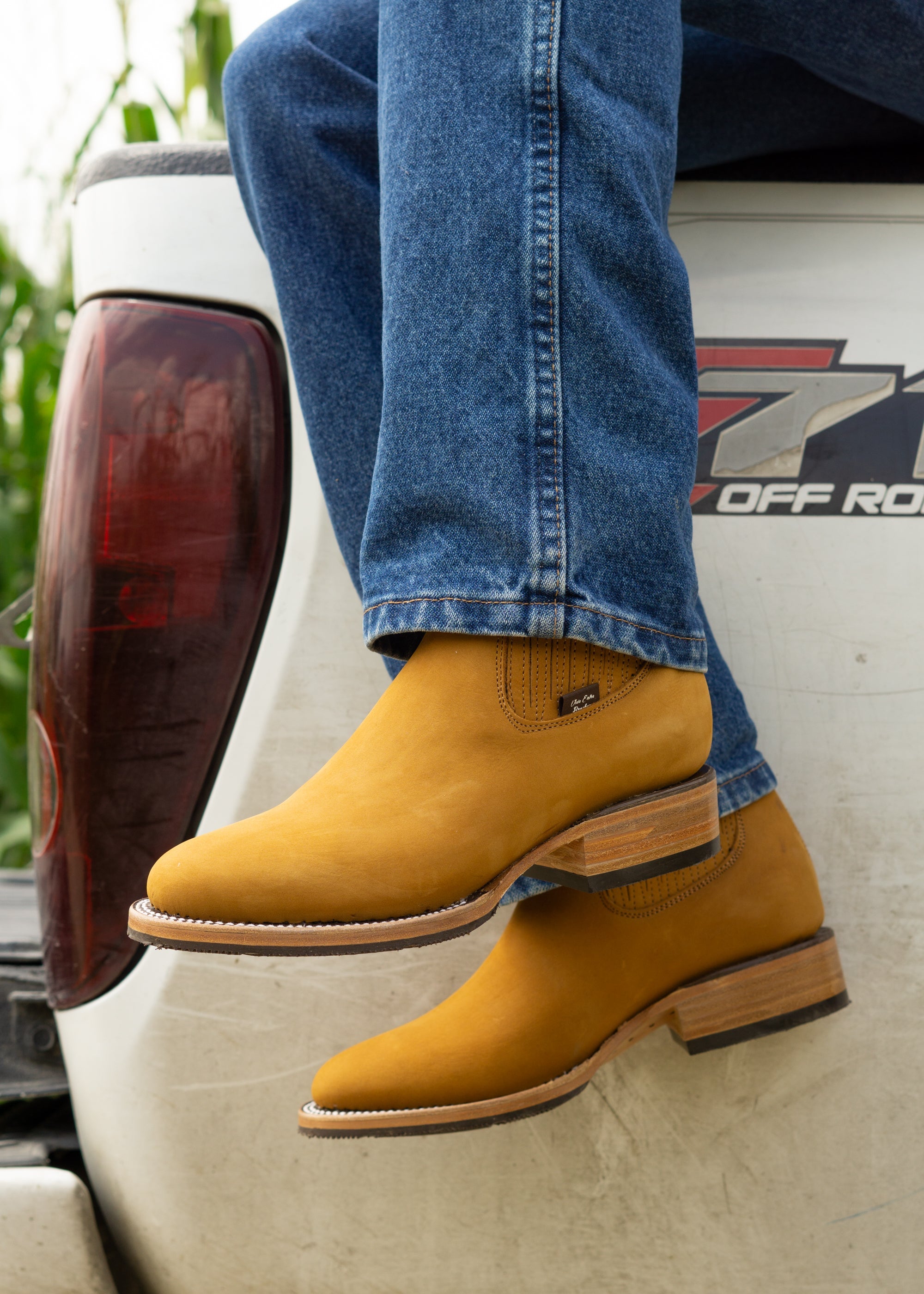 CUARTO DE MILLA - DOBLE VIDA - BAYO