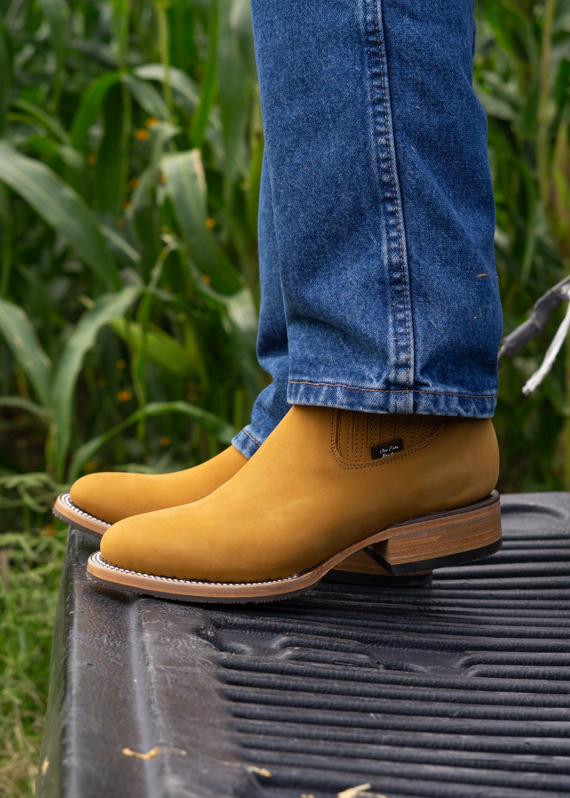 CUARTO DE MILLA - DOBLE VIDA - BAYO