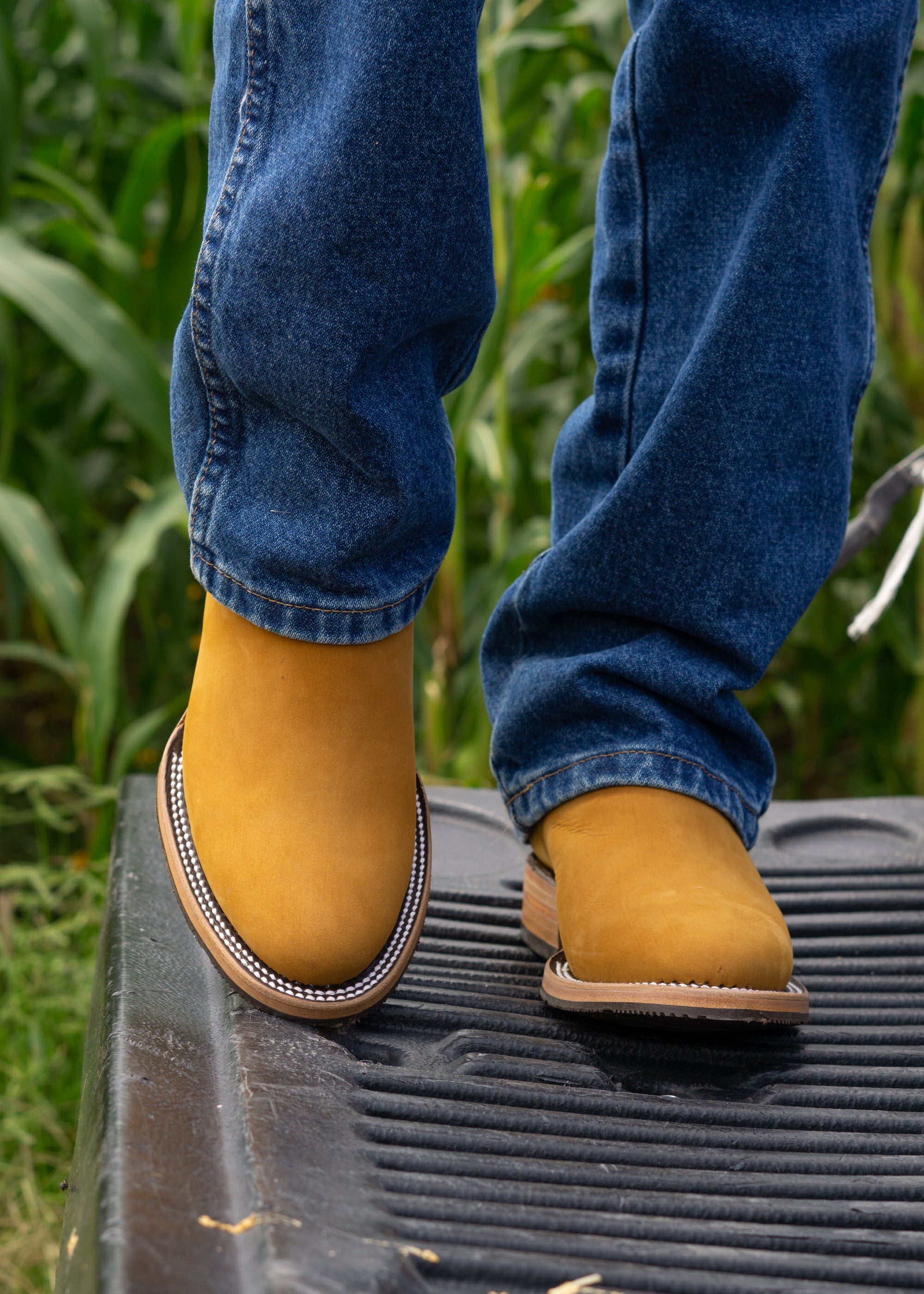 CUARTO DE MILLA - DOBLE VIDA - BAYO