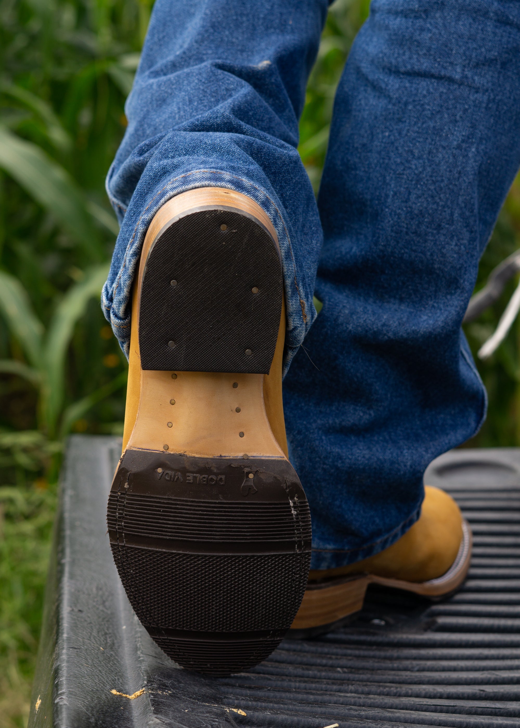 CUARTO DE MILLA - DOBLE VIDA - BAYO