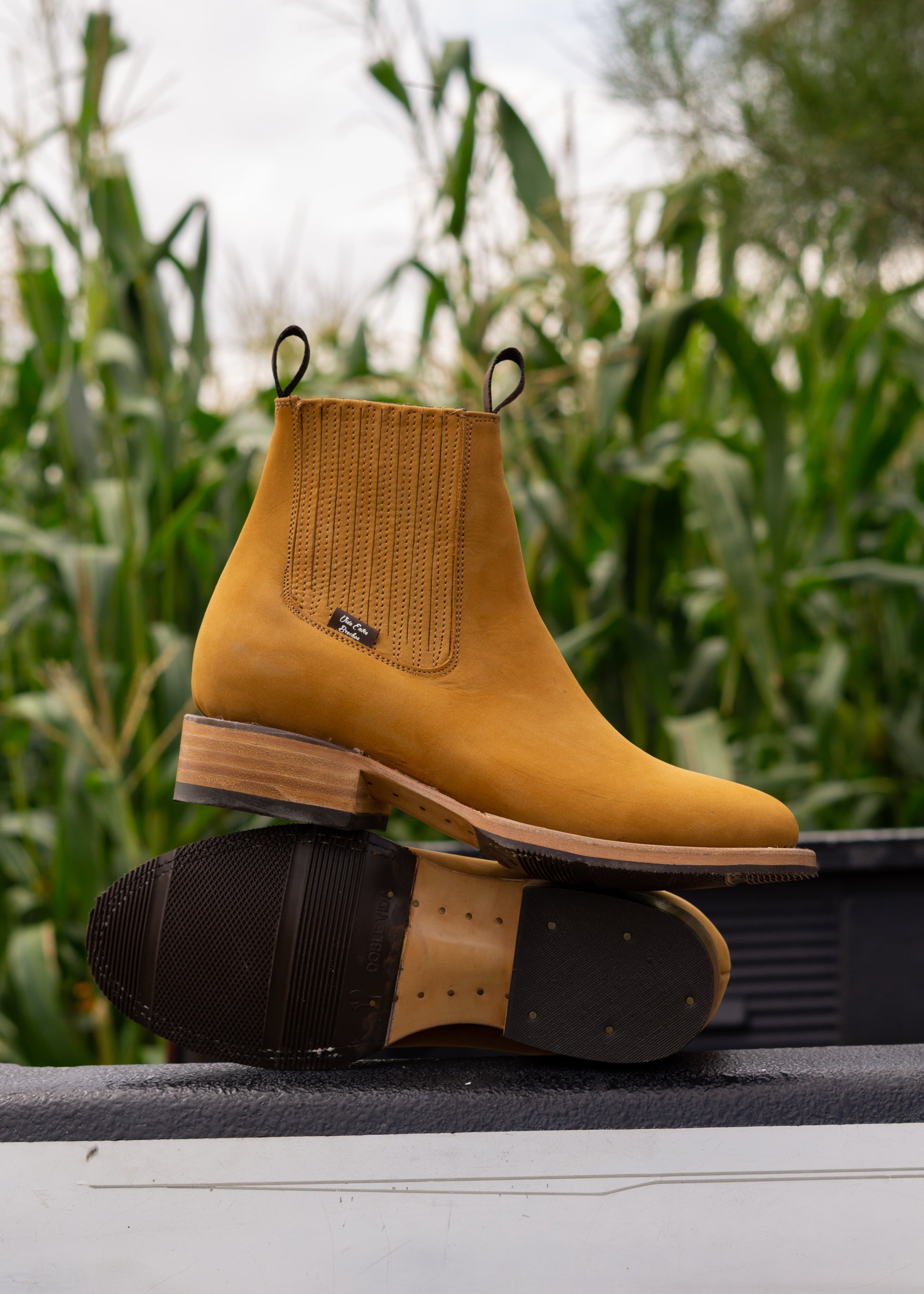 CUARTO DE MILLA - DOBLE VIDA - BAYO