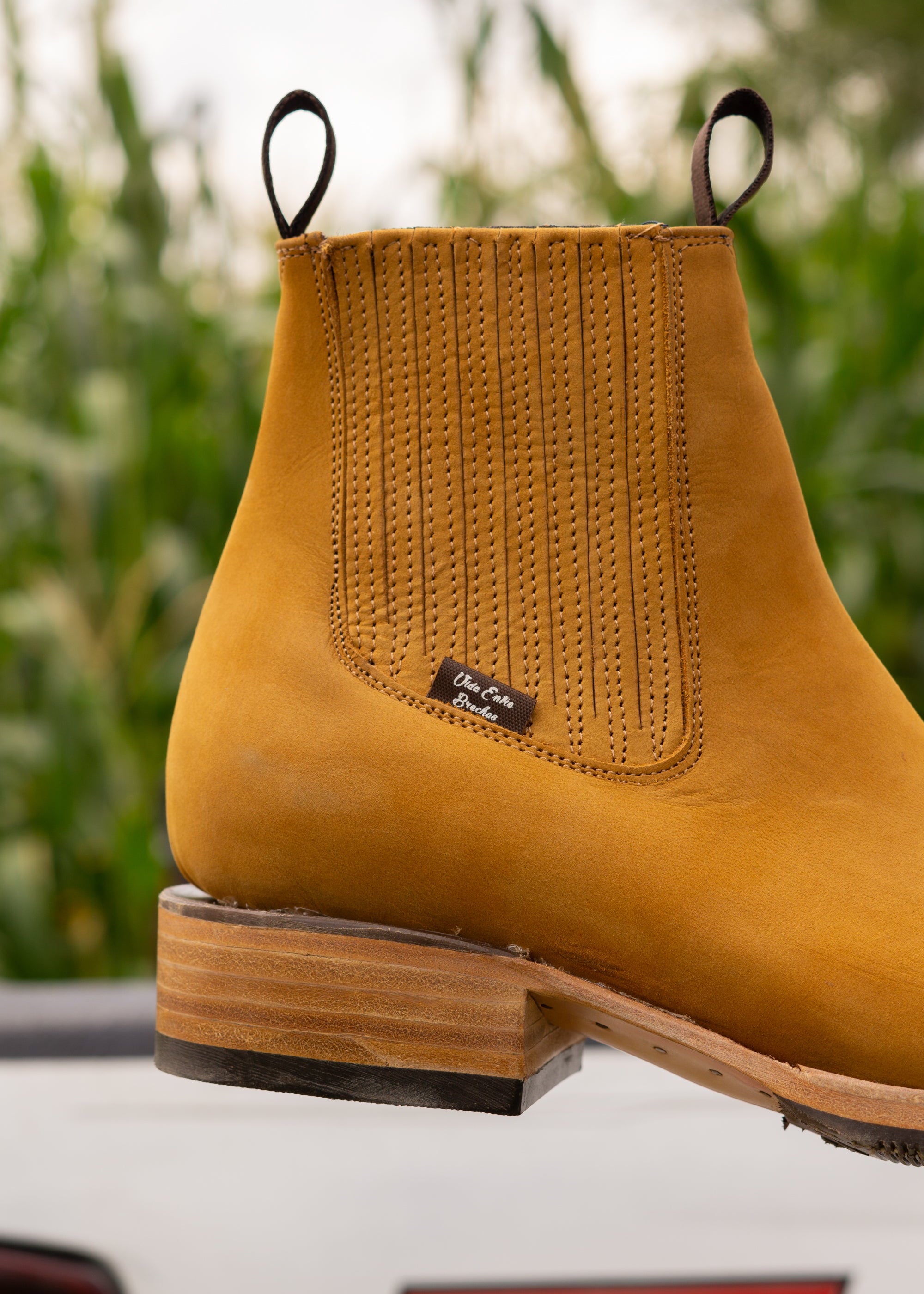 CUARTO DE MILLA - DOBLE VIDA - BAYO