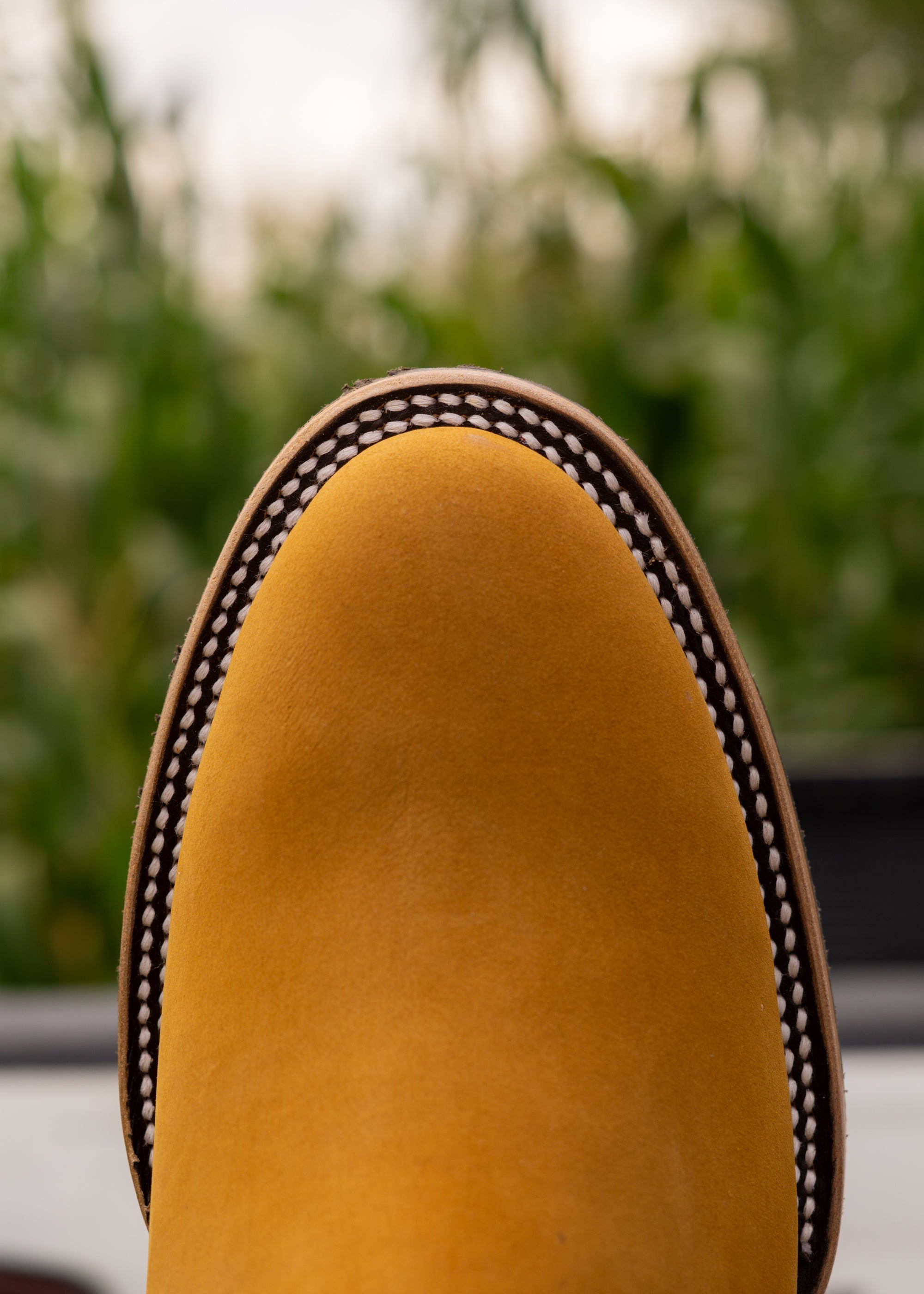 CUARTO DE MILLA - DOBLE VIDA - BAYO