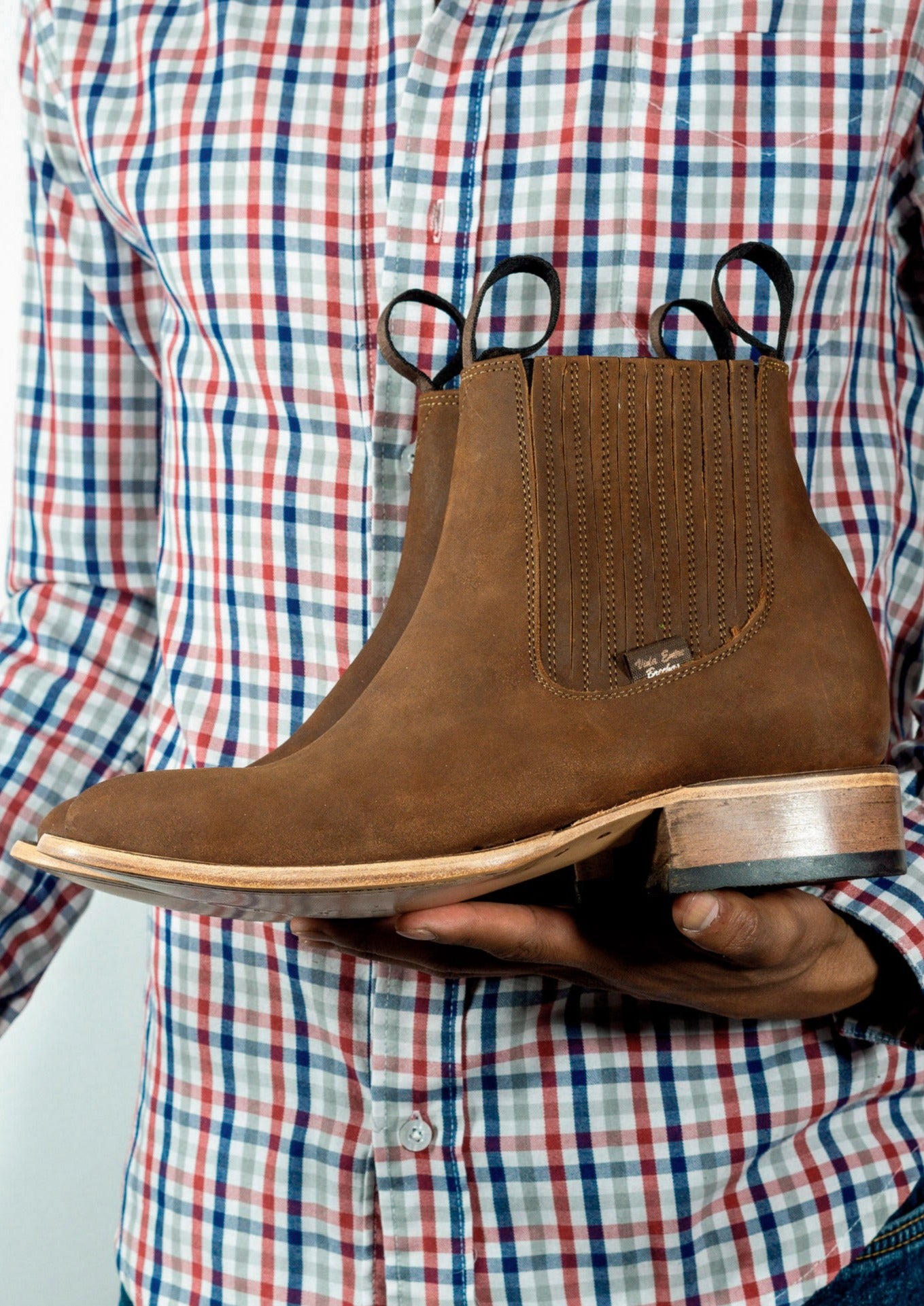 Cuarto de milla - Alazán