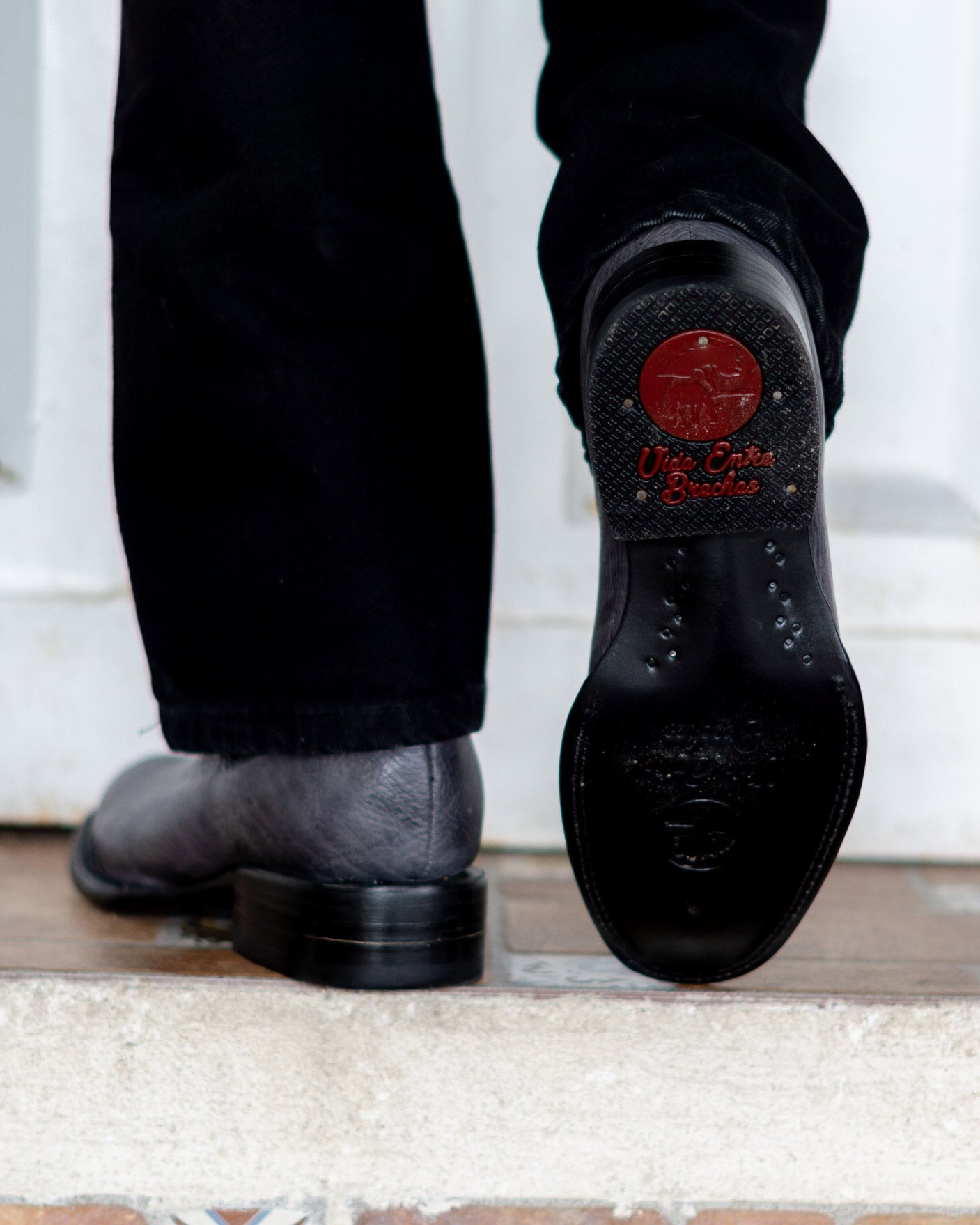 ANGUS - GRIS