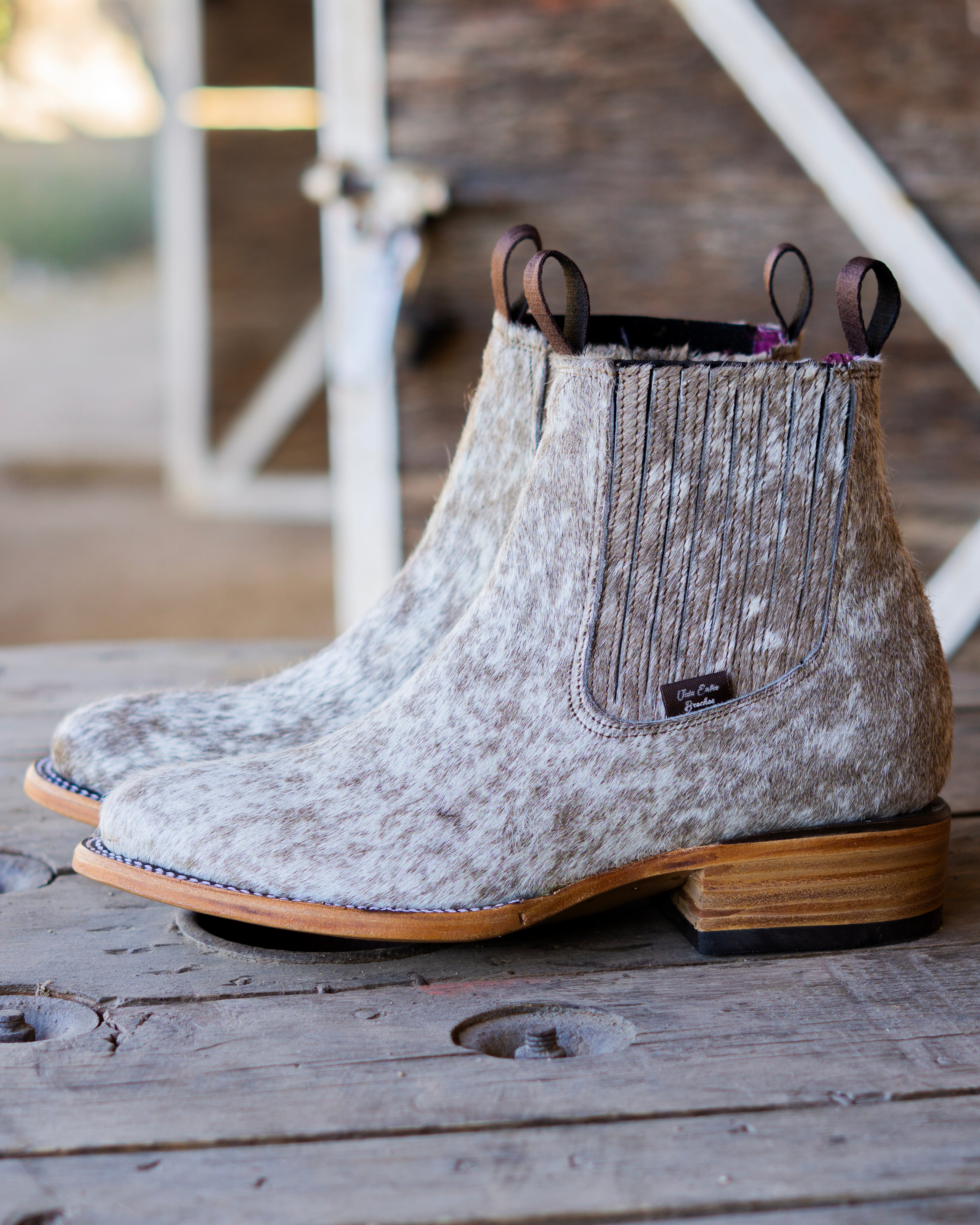 LOMOS PINTOS - CAFÉ