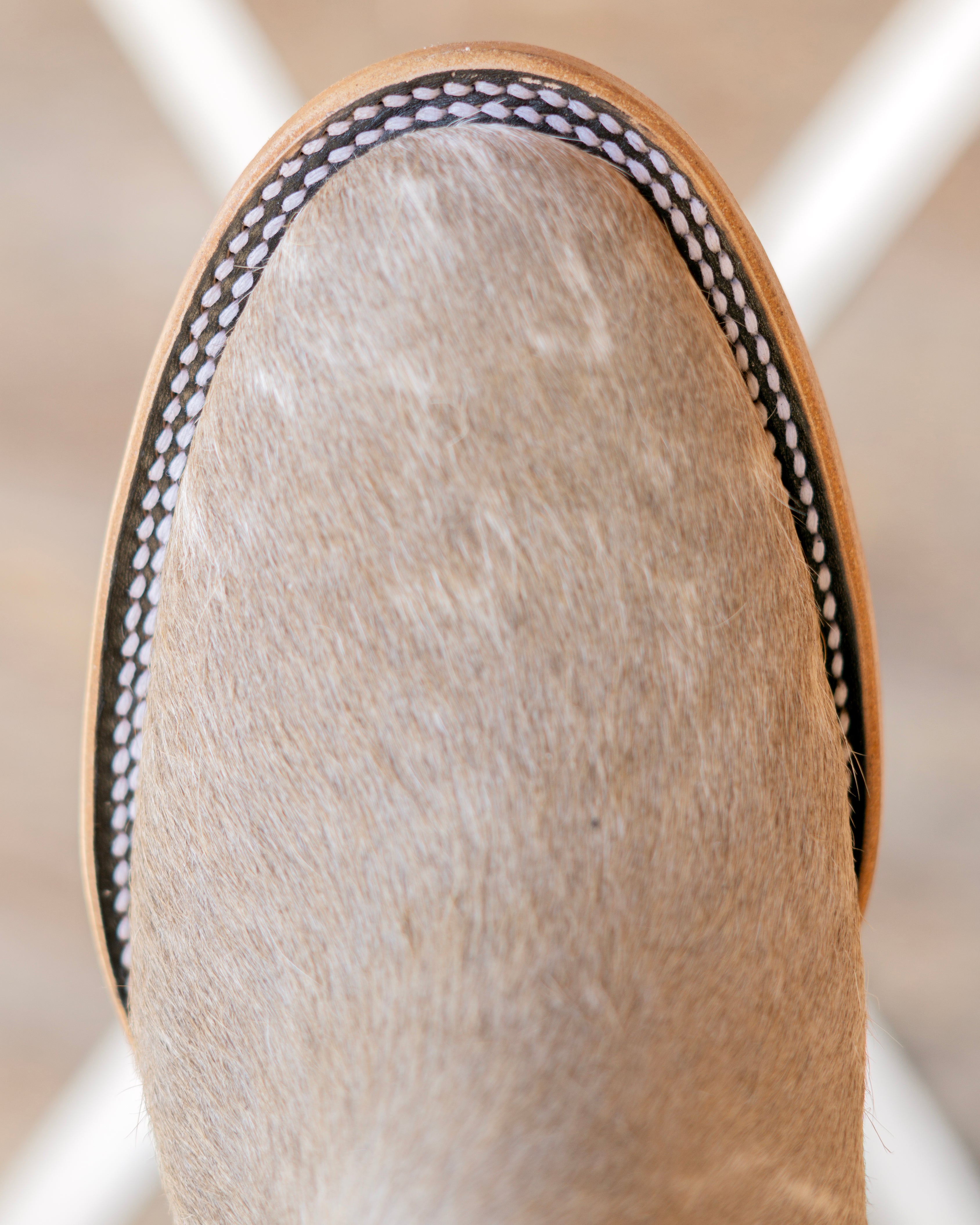 LOMOS PINTOS - CAFÉ