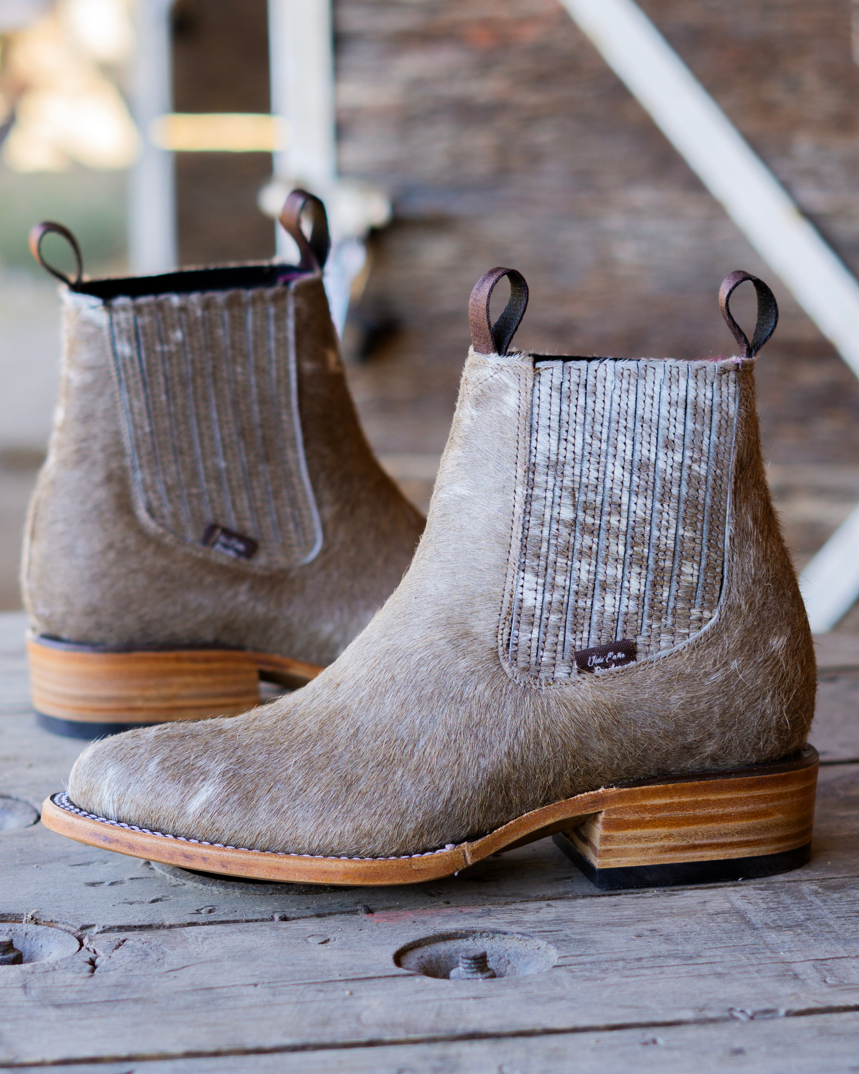 LOMOS PINTOS - CAFÉ