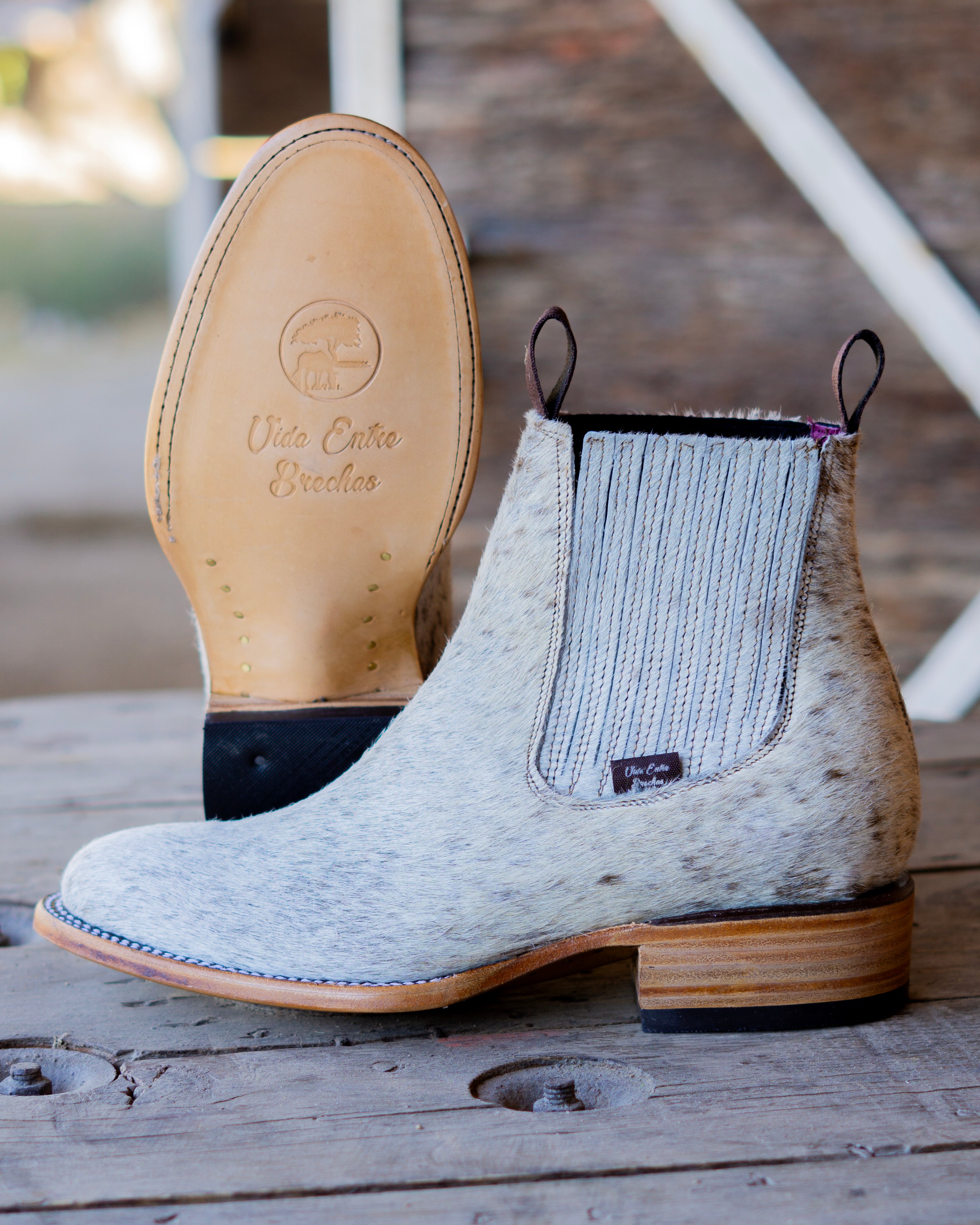 LOMOS PINTOS - CAFÉ