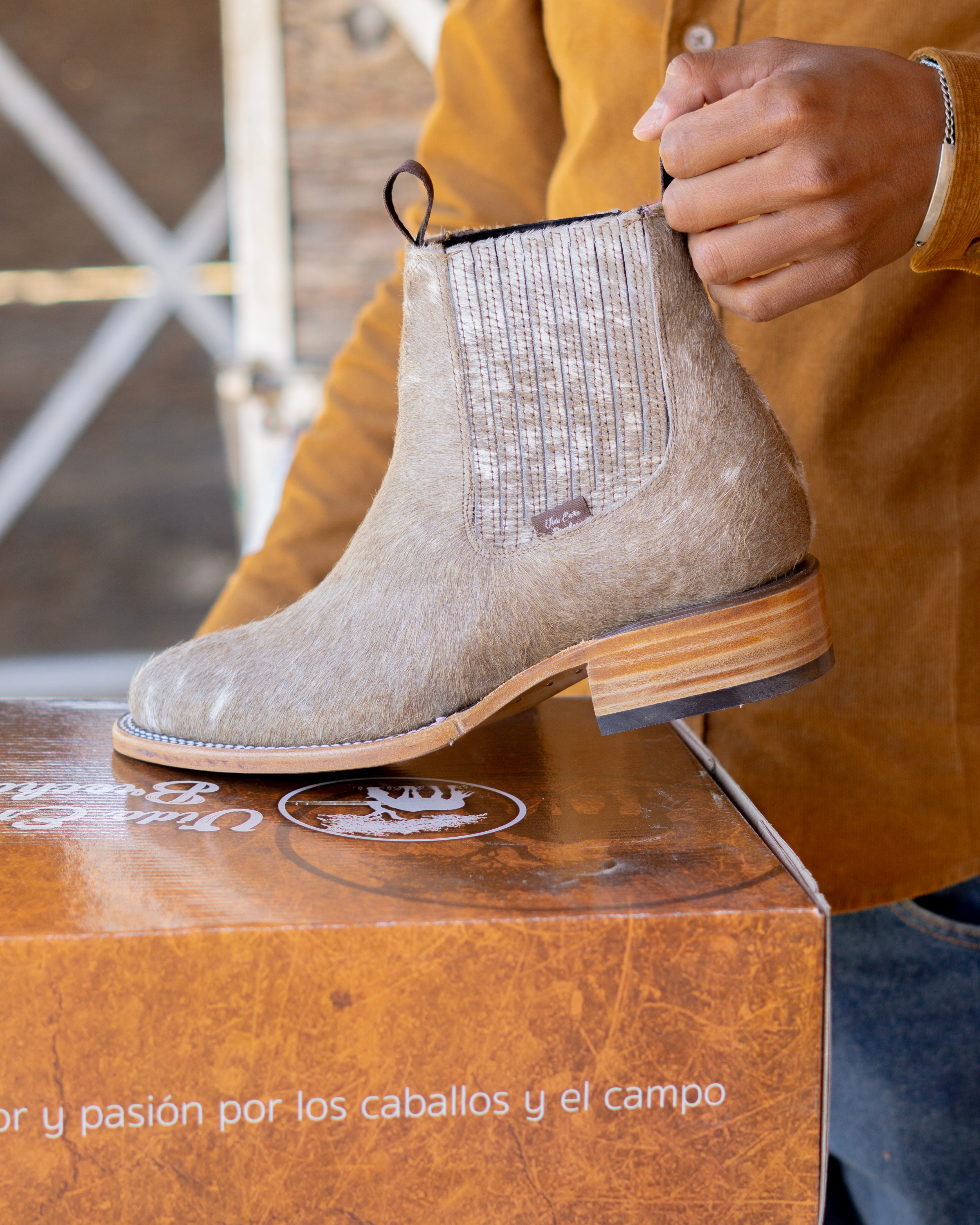 LOMOS PINTOS - CAFÉ