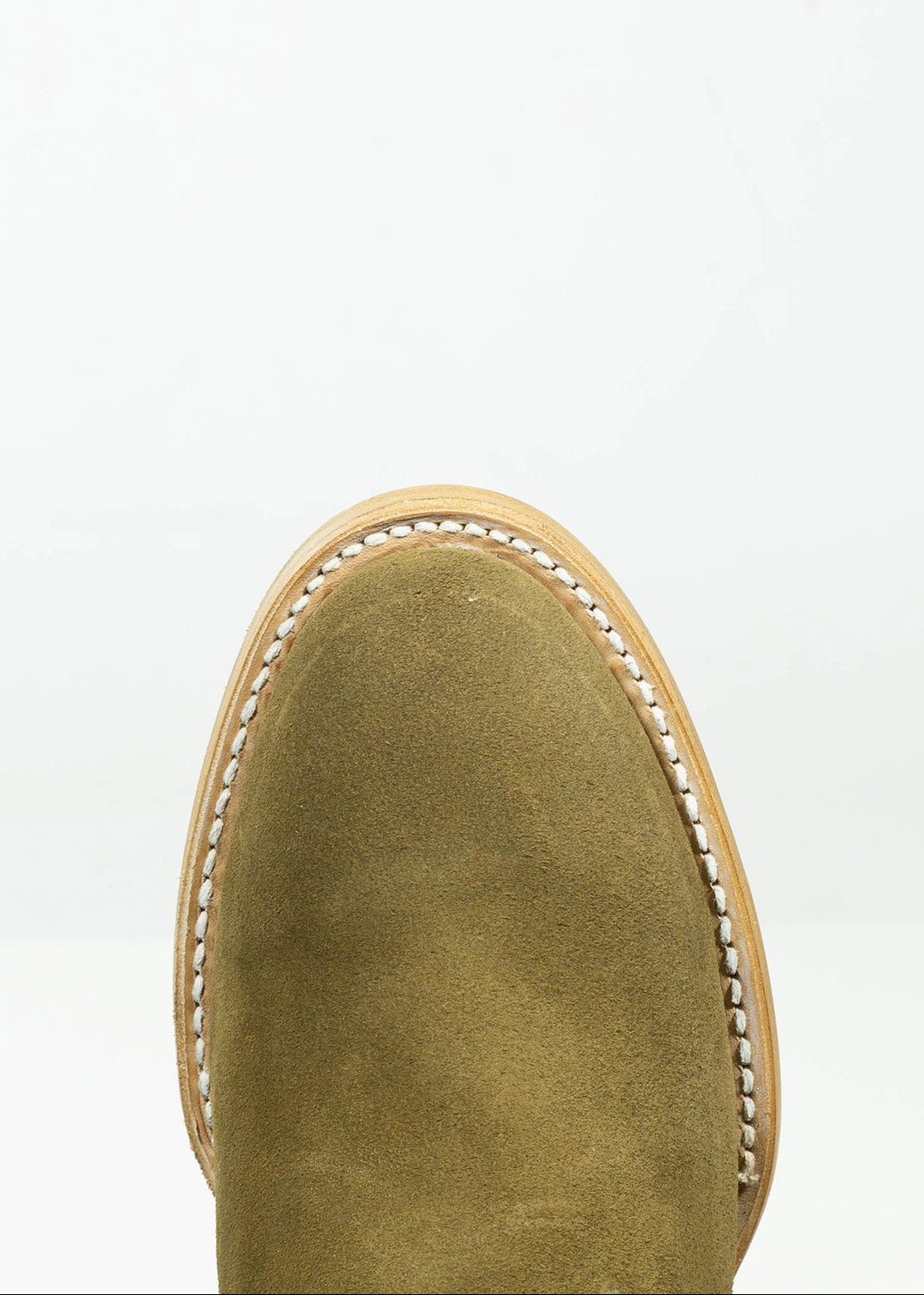 LUSITANO - OLIVO